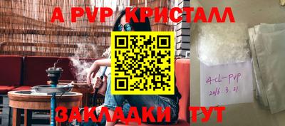 спиды Камышлов